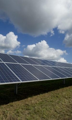 photo-1509391366360-2e959784a276